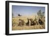 U.S. Marines Watch as Ch-53E Super Stallion Helicopters Land in a Field-null-Framed Photographic Print