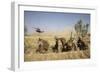 U.S. Marines Watch as Ch-53E Super Stallion Helicopters Land in a Field-null-Framed Photographic Print