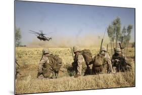 U.S. Marines Watch as Ch-53E Super Stallion Helicopters Land in a Field-null-Mounted Photographic Print