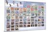 U.S. Migratory Bird Hunting and Conservation Stamps "Duck Stamps" Educational Poster-null-Mounted Poster