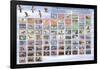 U.S. Migratory Bird Hunting and Conservation Stamps "Duck Stamps" Educational Poster-null-Framed Poster