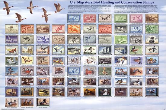 Poster, , large