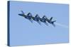 U.S. Navy Flight Demonstration Squadron, the Blue Angels-null-Stretched Canvas