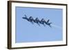 U.S. Navy Flight Demonstration Squadron, the Blue Angels-null-Framed Photographic Print