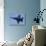 U.S. Navy Flight Demonstration Squadron, the Blue Angels-null-Stretched Canvas displayed on a wall