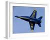 U.S. Navy Flight Demonstration Squadron, the Blue Angels-null-Framed Photographic Print