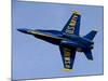 U.S. Navy Flight Demonstration Squadron, the Blue Angels-null-Mounted Photographic Print