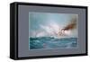 U.S. Navy: Indiana-Werner-Framed Stretched Canvas