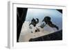 U.S. Pararescuemen and U.S. Marines Jump from a Hc-130 over Djibouti-Stocktrek Images-Framed Photographic Print