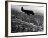 U.S. Plane Flying over the Himalayas-null-Framed Photographic Print