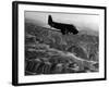 U.S. Plane Flying over the Himalayas-null-Framed Photographic Print