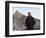 U.S. President Barack Obama Tours the Great Wall in Badaling, China-null-Framed Photographic Print