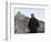 U.S. President Barack Obama Tours the Great Wall in Badaling, China-null-Framed Photographic Print