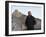 U.S. President Barack Obama Tours the Great Wall in Badaling, China-null-Framed Photographic Print