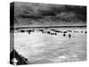 U.S. Reinforcements Wade Through the Surf as They Land at Normandy-null-Stretched Canvas