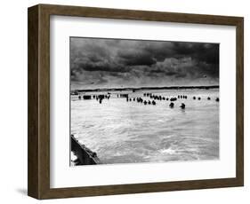 U.S. Reinforcements Wade Through the Surf as They Land at Normandy-null-Framed Photographic Print