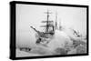 U.S. Rescue Cutter Bear and the S.S. Corwin-null-Stretched Canvas