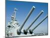 U.S.S. Alabama Battleship Museum, Mobile, Alabama, USA-Ethel Davies-Mounted Photographic Print