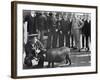 U.S.S. Iowa, Pig Taken from Spanish Cruiser Cristobal Colon-null-Framed Photo