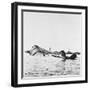 U.S.S. Utah after Attack-null-Framed Photographic Print