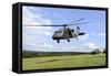 U.S. Soldiers Conduct Air Movement Training-null-Framed Stretched Canvas