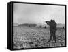 U.S. Soldiers Fire at Germans Positions to Relieve Besieged Airborne Troops in Bastogne-null-Framed Stretched Canvas