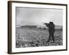 U.S. Soldiers Fire at Germans Positions to Relieve Besieged Airborne Troops in Bastogne-null-Framed Photo