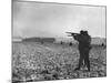 U.S. Soldiers Fire at Germans Positions to Relieve Besieged Airborne Troops in Bastogne-null-Mounted Photo