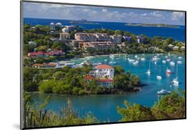 U.S. Virgin Islands, St. John. Cruz Bay, elevated town view with The Battery-Walter Bibikow-Mounted Photographic Print