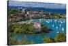 U.S. Virgin Islands, St. John. Cruz Bay, elevated town view with The Battery-Walter Bibikow-Stretched Canvas
