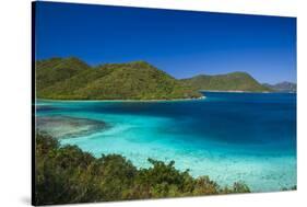 U.S. Virgin Islands, St. John. Leinster Bay, elevated bay view-Walter Bibikow-Stretched Canvas