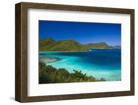 U.S. Virgin Islands, St. John. Leinster Bay, elevated bay view-Walter Bibikow-Framed Photographic Print