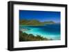 U.S. Virgin Islands, St. John. Leinster Bay, elevated bay view-Walter Bibikow-Framed Photographic Print