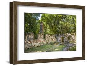 U.S. Virgin Islands, St. John. Maho Bay, sugar mill ruins-Walter Bibikow-Framed Photographic Print