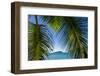 U.S. Virgin Islands, St. John. Trunk Bay and beach-Walter Bibikow-Framed Photographic Print