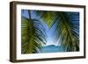 U.S. Virgin Islands, St. John. Trunk Bay and beach-Walter Bibikow-Framed Photographic Print