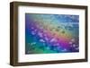 U.S. Virgin Islands, St. Thomas. Aerial view of clouds and rainbow over the Caribbean Sea-Walter Bibikow-Framed Photographic Print