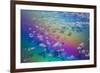 U.S. Virgin Islands, St. Thomas. Aerial view of clouds and rainbow over the Caribbean Sea-Walter Bibikow-Framed Photographic Print