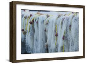 U.S. Virgin Islands, St. Thomas. Charlotte Amalie, Frenchtown, fishing nets-Walter Bibikow-Framed Photographic Print