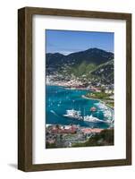 U.S. Virgin Islands, St. Thomas. Charlotte Amalie, Havensight Yacht Harbor-Walter Bibikow-Framed Photographic Print