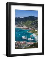 U.S. Virgin Islands, St. Thomas. Charlotte Amalie, Havensight Yacht Harbor-Walter Bibikow-Framed Photographic Print