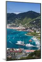 U.S. Virgin Islands, St. Thomas. Charlotte Amalie, Havensight Yacht Harbor-Walter Bibikow-Mounted Photographic Print