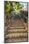 U.S. Virgin Islands, St. Thomas. Charlotte Amalie, The 99 Steps-Walter Bibikow-Mounted Photographic Print