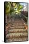 U.S. Virgin Islands, St. Thomas. Charlotte Amalie, The 99 Steps-Walter Bibikow-Framed Stretched Canvas