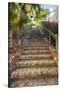 U.S. Virgin Islands, St. Thomas. Charlotte Amalie, The 99 Steps-Walter Bibikow-Stretched Canvas