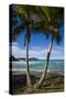 U.S. Virgin Islands, St. Thomas. View of Dorothea Bay-Walter Bibikow-Stretched Canvas