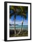 U.S. Virgin Islands, St. Thomas. View of Dorothea Bay-Walter Bibikow-Framed Photographic Print