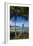 U.S. Virgin Islands, St. Thomas. View of Dorothea Bay-Walter Bibikow-Framed Photographic Print