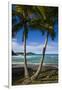 U.S. Virgin Islands, St. Thomas. View of Dorothea Bay-Walter Bibikow-Framed Photographic Print