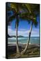 U.S. Virgin Islands, St. Thomas. View of Dorothea Bay-Walter Bibikow-Framed Stretched Canvas